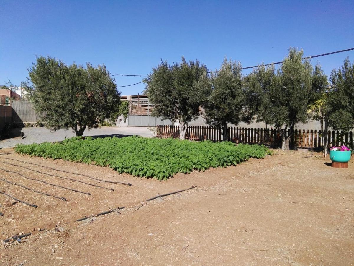 La Casita Del Naranjo Villa Agüimes Kültér fotó